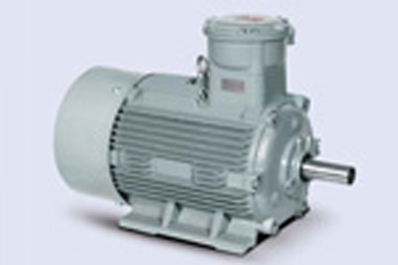 1MT0001 系列高效隔爆型三相異步電動機